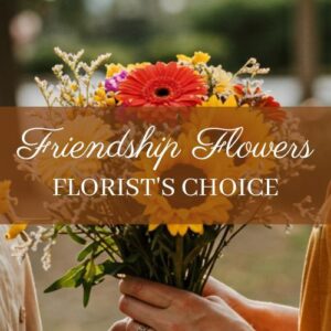 Vibrant Florist Choice Friendship Flowers Chester bouquet featuring sunflowers and red gerberas for local delivery